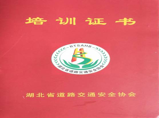 平安前行十年路 ——洪湖市平安校车服务有限公司运营十年记